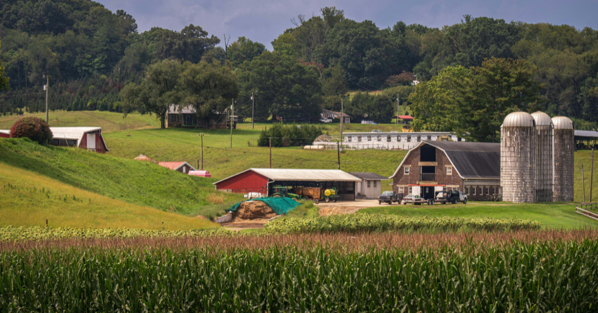 Rural, hilly landscape with large red barn and wood-frame house